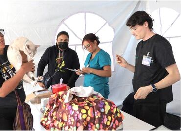 Administración de Lía Limón en Álvaro Obregón realizó 112 Jornadas de Salud Veterinaria; 5 mil animales fueron atendidos