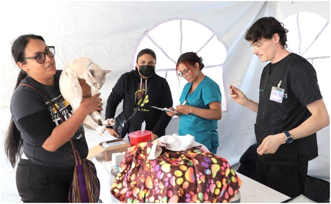 Lía Limón realiza en su administración 112 Jornadas de Salud Veterinaria (28/09/2024). Foto: Especial