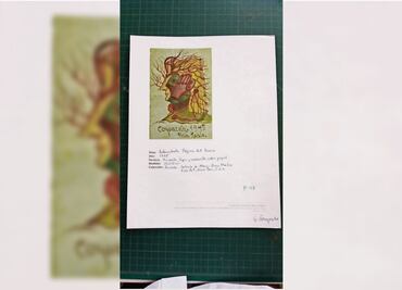 Diario de Frida: Sin investigación el caso de páginas faltantes