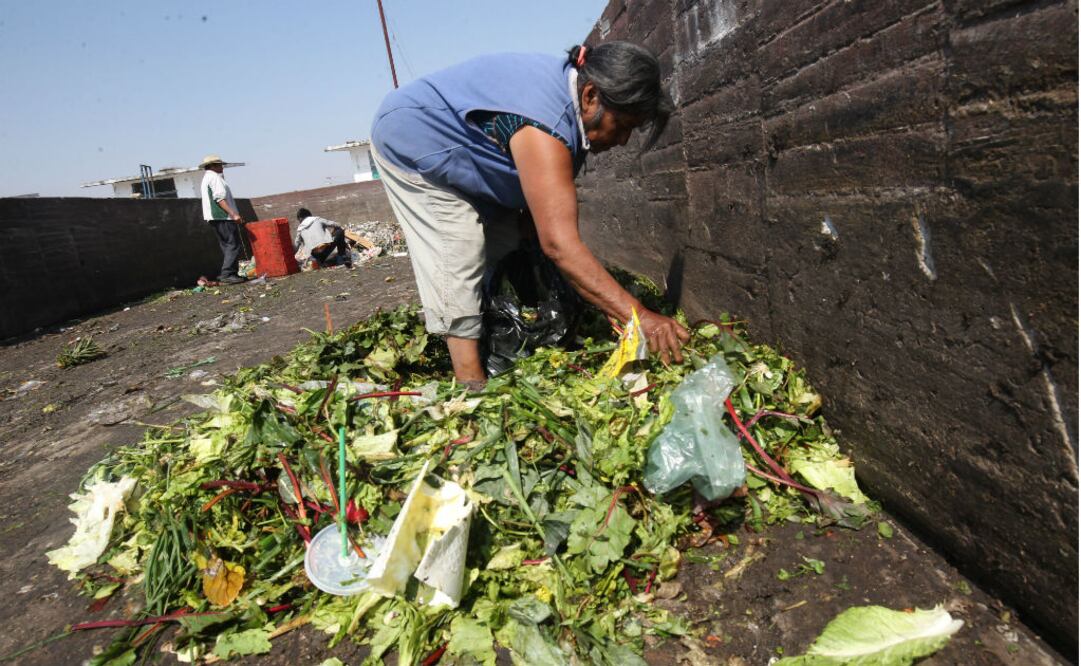 Piden apoyar medidas para mitigar el desperdicio de comida.  Foto: Archivo/EL UNIVERSAL 
