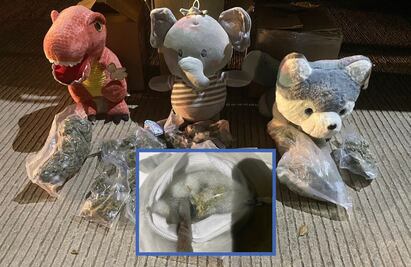 Aseguran peluches de dinosaurio, elefante y perro rellenos con marihuana en paquetería de Culiacán