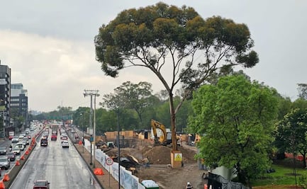Reducirán carriles en Constituyentes por obras del Cablebús en Chapultepec