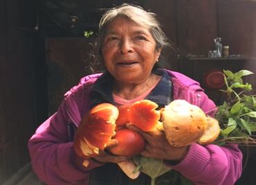 Conoce sobre hongos oaxaqueños con este cartel