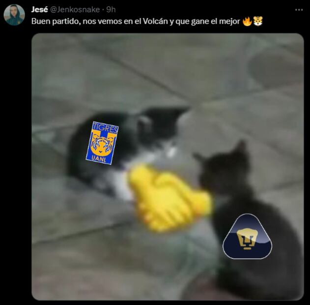 Los mejores memes de la derrota de Pumas / Foto: Especiales