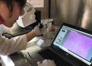 ¿Tomas agua embotellada? ¡Cuidado! podría estar llena de pedazos de plástico