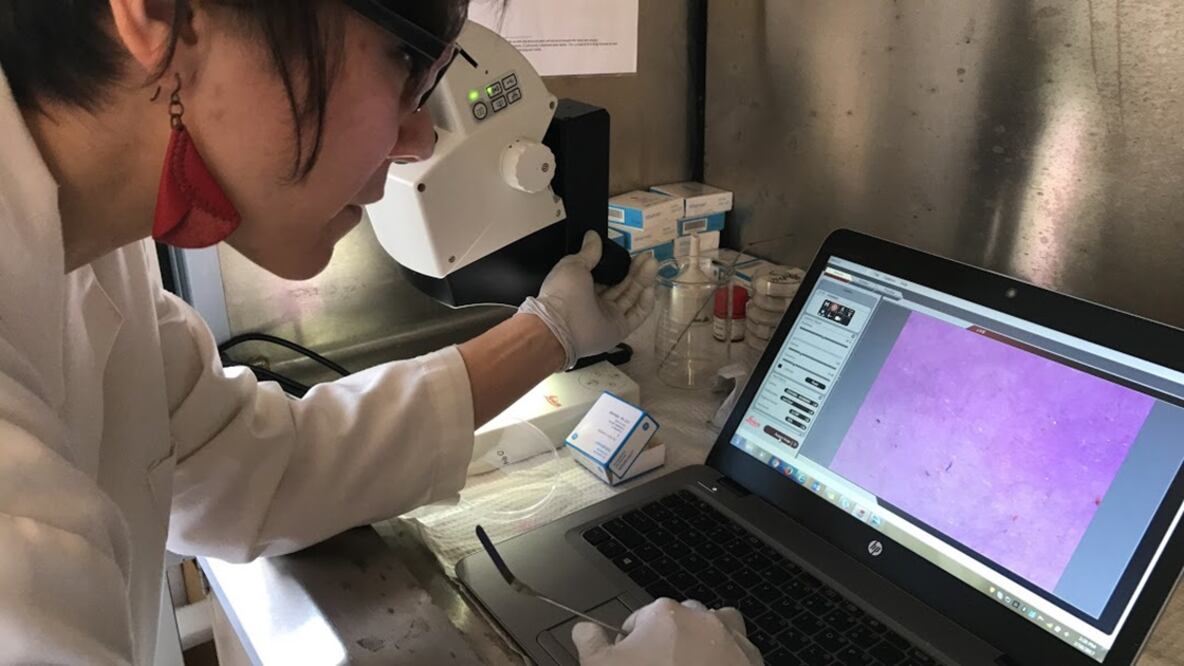 Las microfibras plásticas se han infiltrado en el agua potable de ciudades alrededor del mundo, de acuerdo investigaciones. identificó la presencia de microfibras plásticas en marcas reconocidas de agua embotellada en los Estados Unidos. Foto: Chris Tyree // OrbMedia