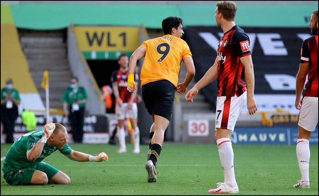 Un lobo mexicano depredador en el Reino Unido