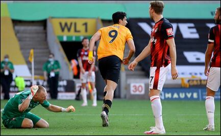 Un lobo mexicano depredador en el Reino Unido