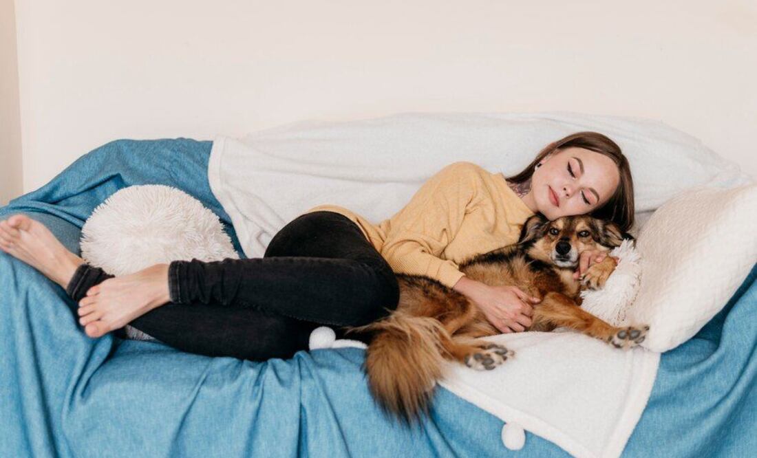 ¿Te gusta dormir con tu mascota en la cama? Estos son los beneficios y los riesgos. Fuente: Freepik
