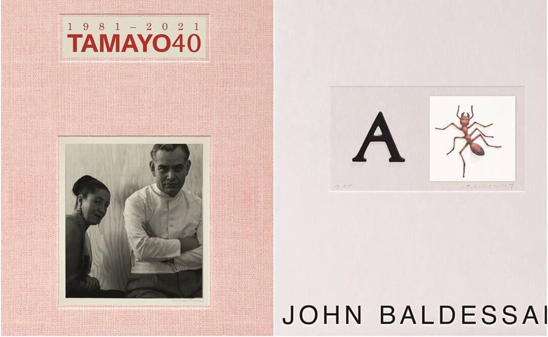 La diseñadora gráfica parte de la idea de que la arquitecta contiene museos en libros. Foto: MARICRIS HERRERA