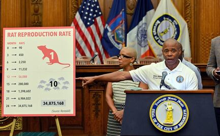 Nueva York convoca una "cumbre nacional sobre ratas" en septiembre