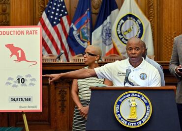 Nueva York convoca una "cumbre nacional sobre ratas" en septiembre