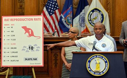 Nueva York convoca una "cumbre nacional sobre ratas" en septiembre