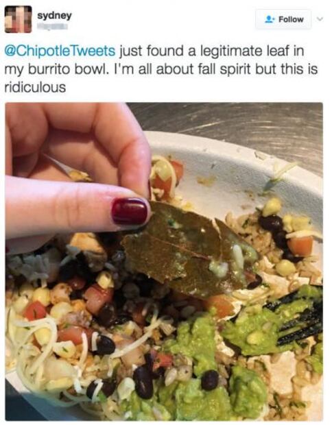 Estadounidenses se indignan al hallar "hojas de árbol" en su comida, sin saber que era laurel