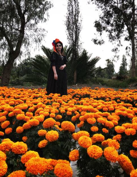 Un tour a la Isla de las Muñecas para celebrar Día de Muertos