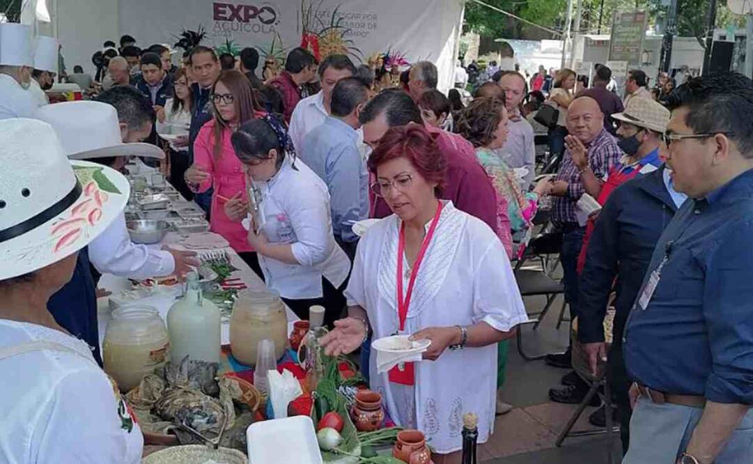 Las actividades inician el próximo ocho de marzo en Huejutla de Reyes. Foto: Especial