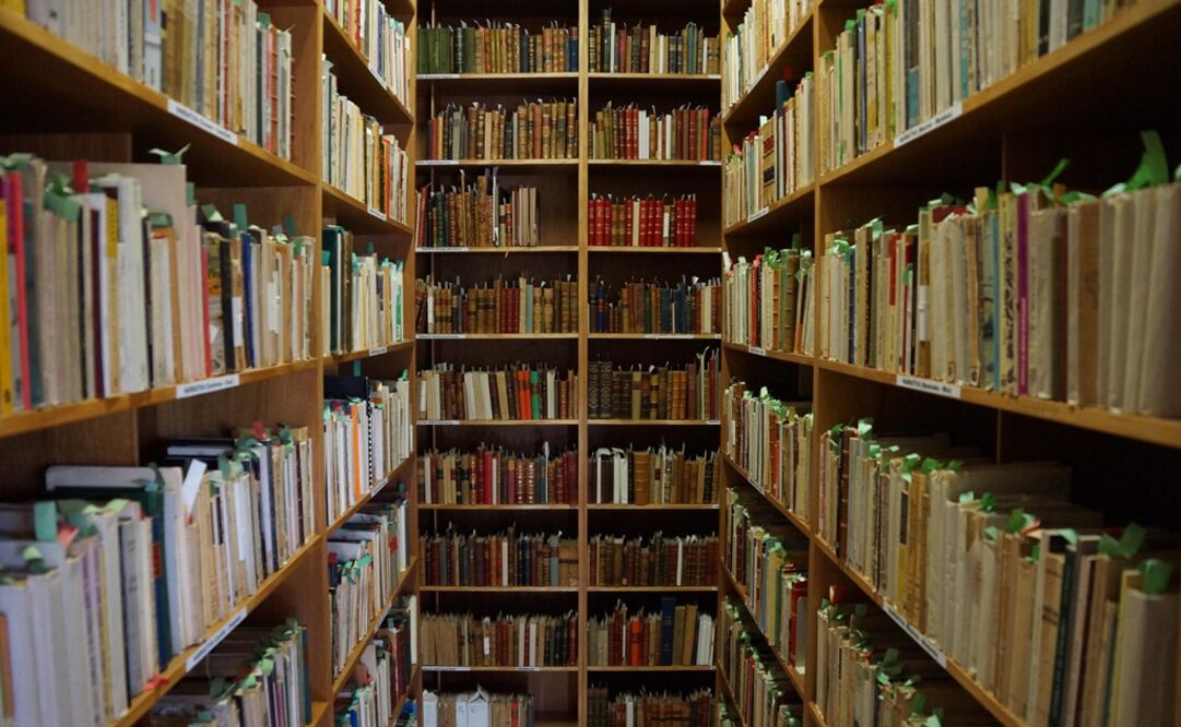 Foto: Archivo EL UNIVERSAL