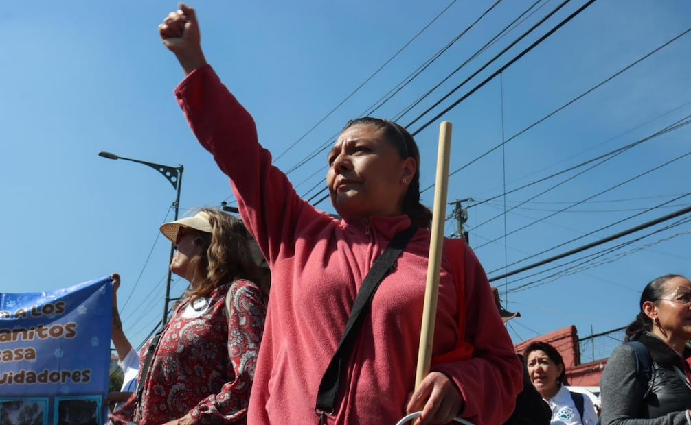 Personal de Refugio Franciscano ingresó al predio en disputa en alcaldía Cuajimalpa.
Fotos: Juan Carlos Williams