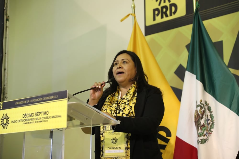 Adriana Díaz, presidenta nacional del PRD. Foto: Archivo El Universal