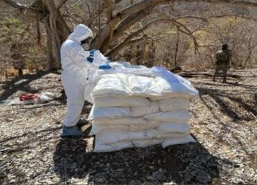 Golpe al narcotráfico en Sinaloa; Ejército y Marina aseguran químicos y destruyen plantíos