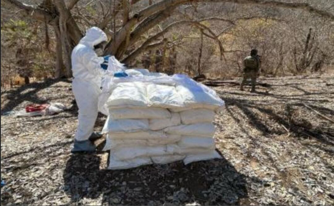 Golpe al narcotráfico en Sinaloa; Ejército y Marina aseguran químicos y destruyen plantíos. Foto: Especial