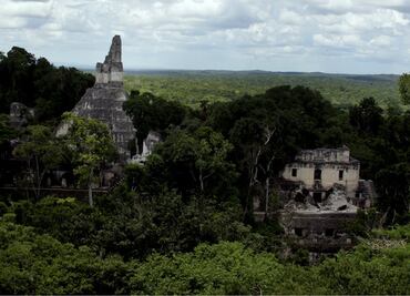 Estudio revela que los mayas conservaban las áreas verdes de su metrópoli