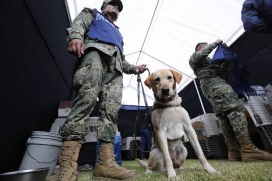 Con muñeco de Frida, niña disfruta del Festival de la Marina