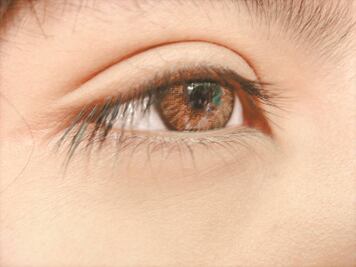 Banco Corneal del IMSS, con capacidad para más de mil tejidos corneales al año