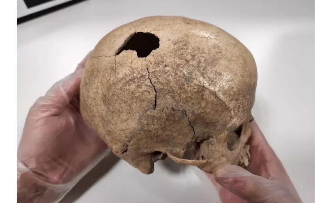 Foto: IPHES vía Europa Press