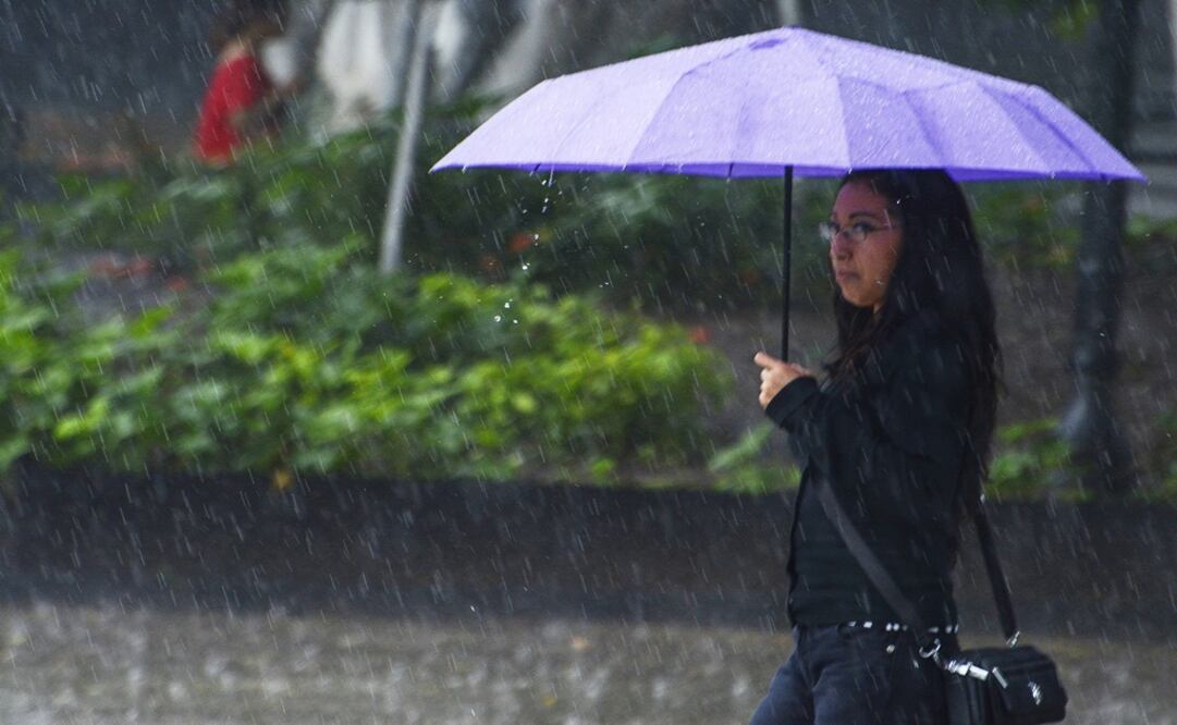 Foto: Archivo/Cuartoscuro                