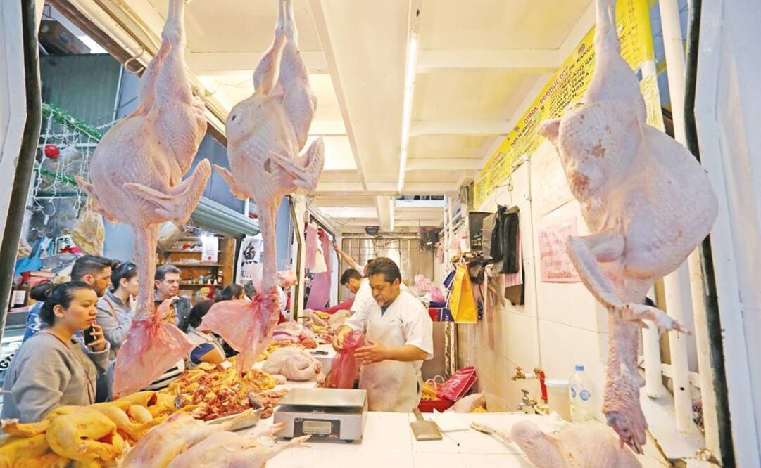 Foto: Archivo. EL UNIVERSAL