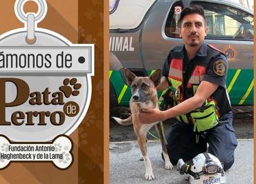 Vámonos de Pata de Perro. Rescatistas de perros