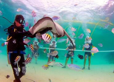 Las 7 mejores actividades del parque Xel-Há