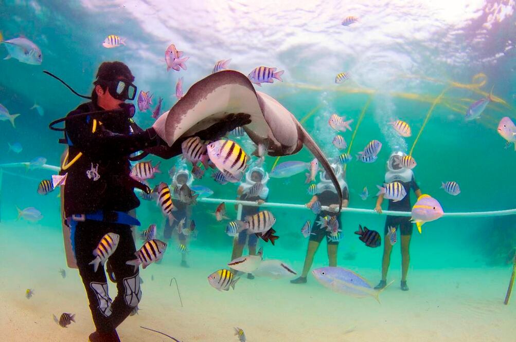 Foto: Cortesía Xel-Há