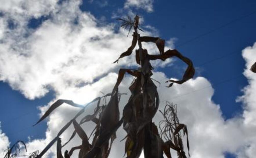 Los maíces de Socorro