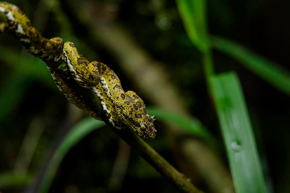 Foto: Eduardo Peraza