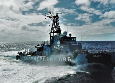 Atacan barco de organización ecologista en área de vaquita marina en México