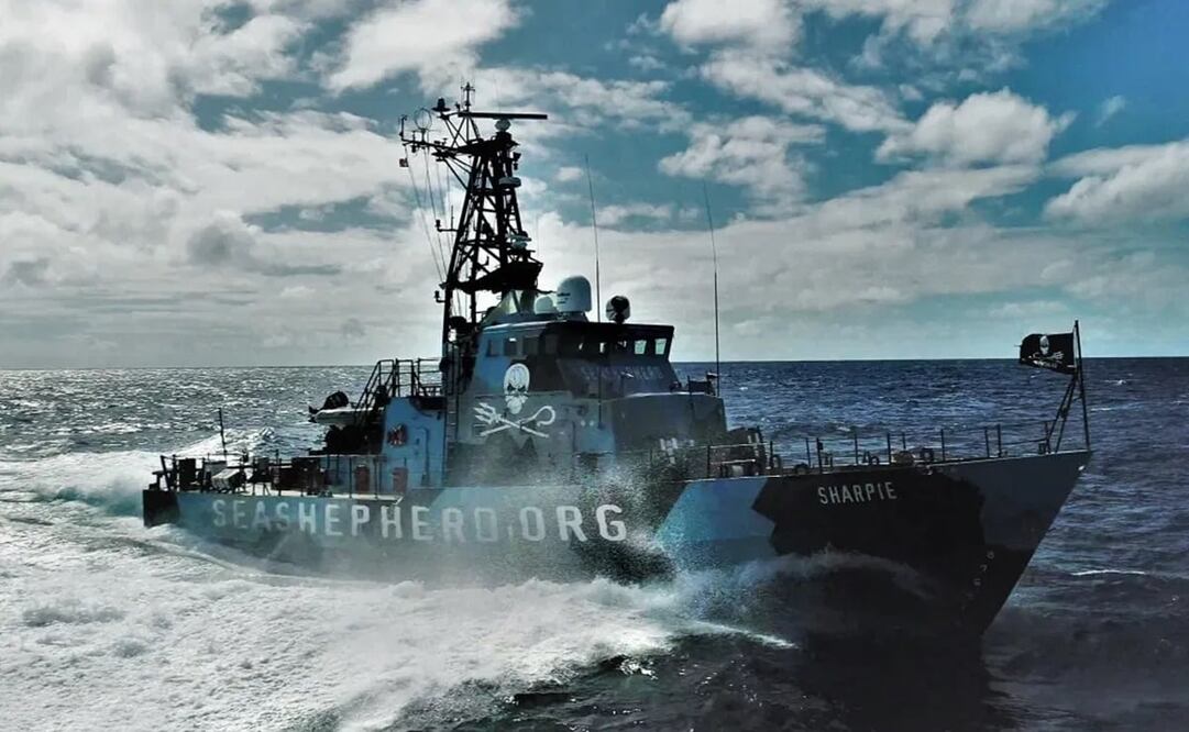 Barco de la organización Sea Shepherd /Tomada de seashepherd.org