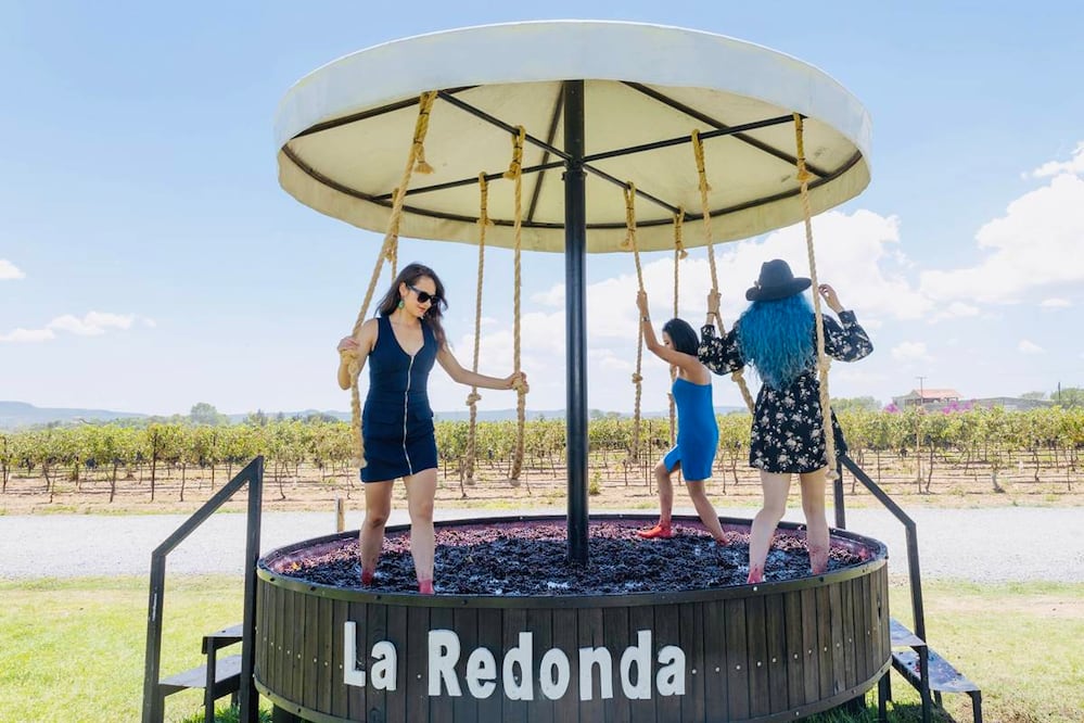 Foto: Viñedos La Redonda