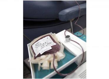 Se hace viral la orden de un juez de hacer una transfusión a menor Testigo de Jehová