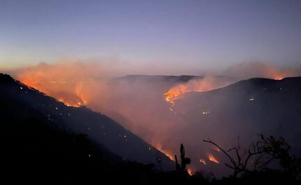 Cumple seis días incendio forestal en sierra de Tepechitlán, Zacatecas; siniestra 4 mil 300 hectáreas