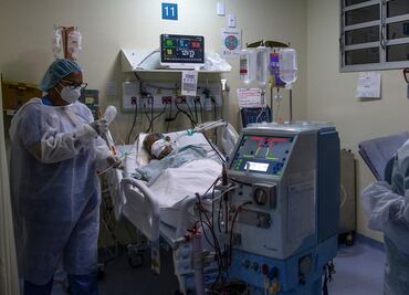 Casos de Covid-19 aumentarían hasta 30% por polen de primavera: estudio