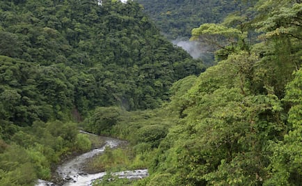 Biodiversidad para el desarrollo sustentable