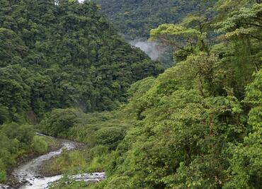 Biodiversidad para el desarrollo sustentable