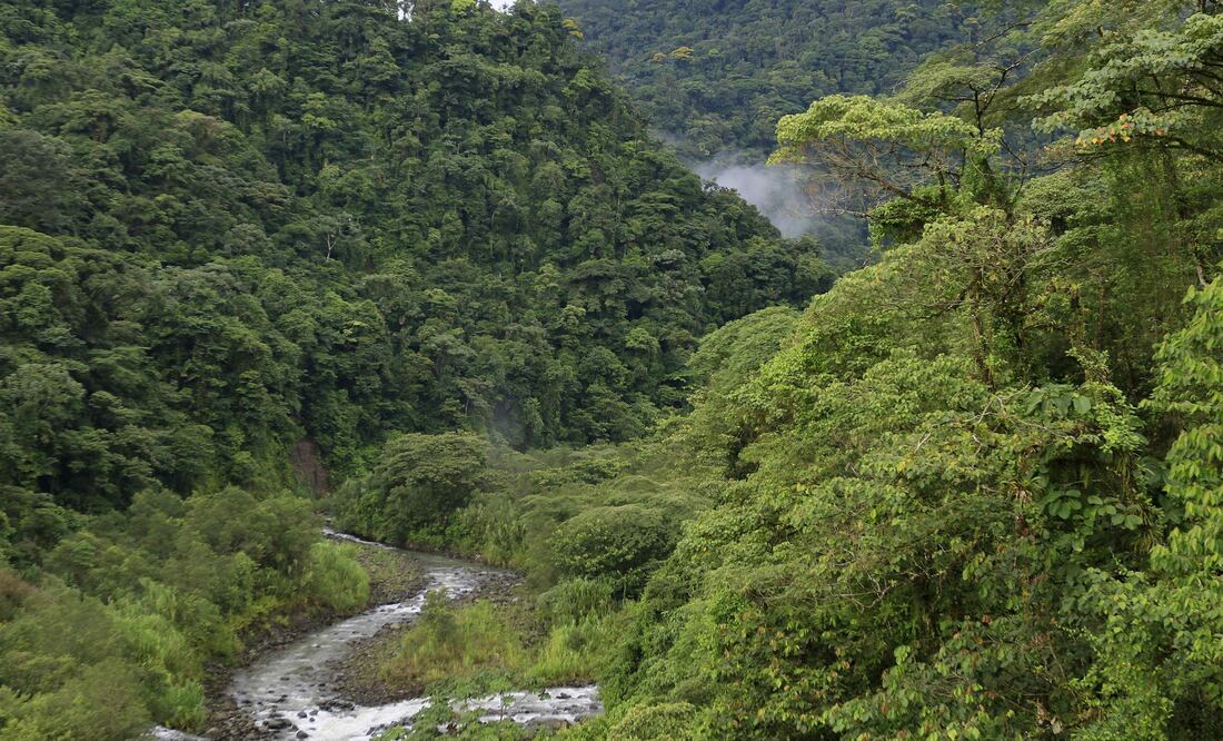 El investigador indica que este tipo de estudios pueden propiciar la innovación en sustentabilidad por parte de las instituciones educativas. (FOTO: Archivo/ EL UNIVERSAL)