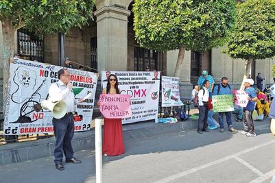 Exigen renuncia de Tanya Müller por “deforestación”