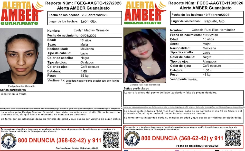 Las fichas de búsqueda han sido difundidas en varios municipios del estado. Foto: Especiales.