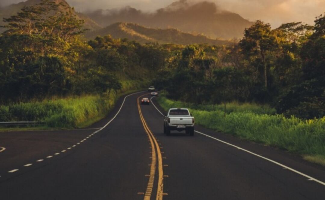 Conoce el significado de estos señalamientos en las carreteras. Foto: Freepik