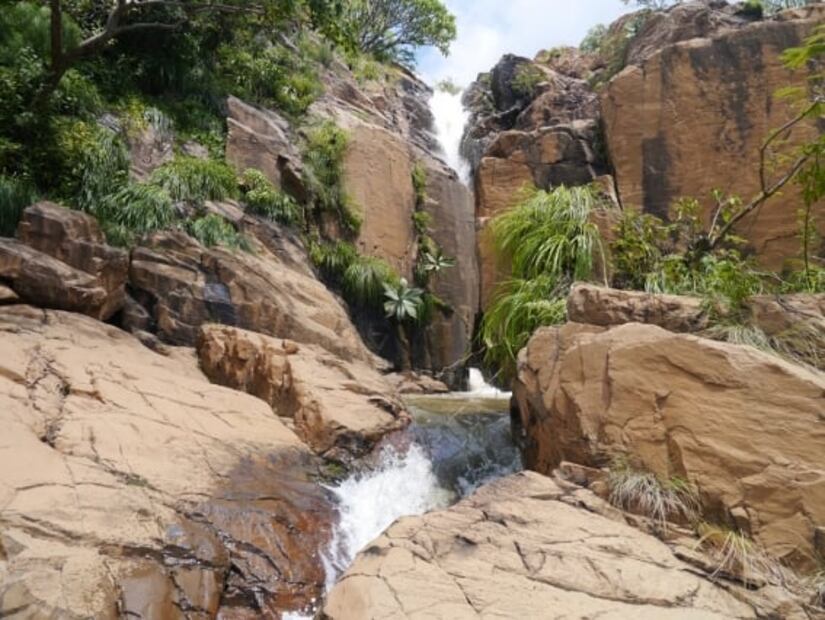 Sierra de Nanchititla, el bosque del Edomex que tal vez no conocías