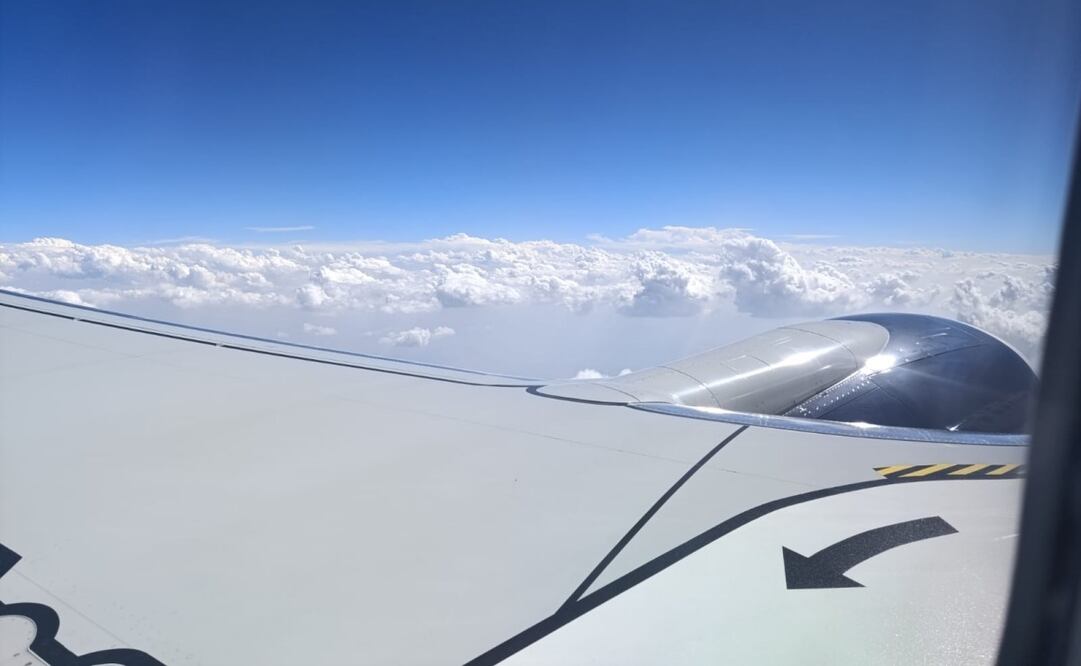 Foto: Samyra Sosa/EL UNIVERSAL